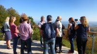 Balade des crus du Beaujolais à la terrasse de Chiroubles